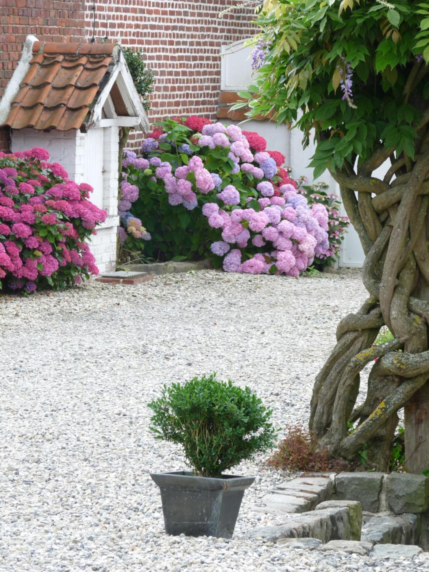 Beuvry-la-Foret Le Chalet De La Longere מראה חיצוני תמונה